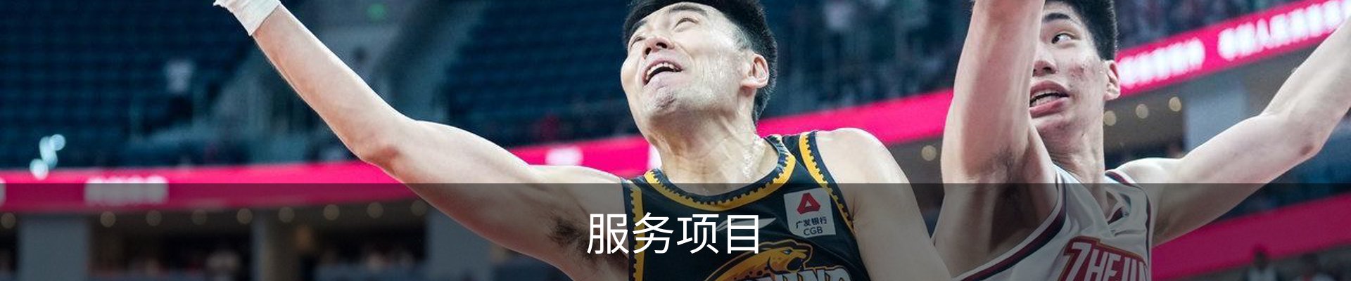 服务项目