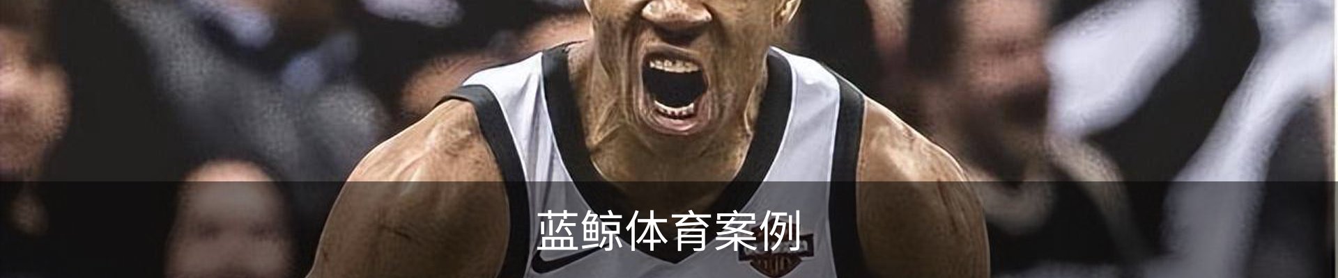 蓝鲸体育案例